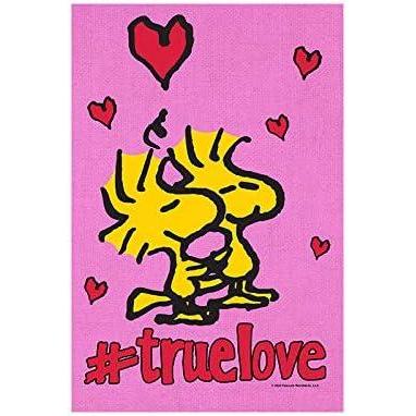 image:imageFlagologycom Peanuts Peanuts Truelove Woodstock  House Flag 28 x 40 Officially Licensed Peanuts Valentines Day