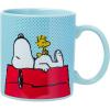 Peanuts Snoopy and Woodstock House