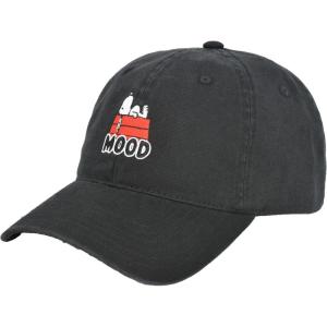 Concept One Unisex-Adult Peanuts Snoopy Dad Hat, Adult Baseball Cap with Curved Brim(Mood)
