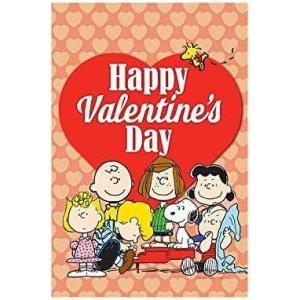 Flagology PEANUTS Gang Happy Valentine’s Day House Flag House Flag 28″ x 40″, Officially Licensed PEANUTS, Multicolored