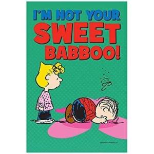 Flagology.com, PEANUTS®, PEANUTS® Not Your Sweet Babboo – Garden Flag 12.5″ x 18″, Officially Licensed PEANUTS®, Valentine’s Day