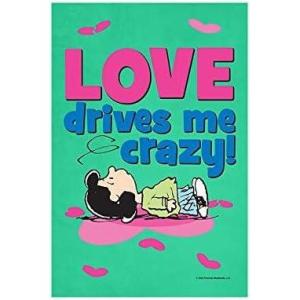 Flagology.com, Peanuts®, Peanuts® Love Drives Me Crazy – House Flag 28″ x 40″, Officially Licensed Peanuts®, Valentine’s Day