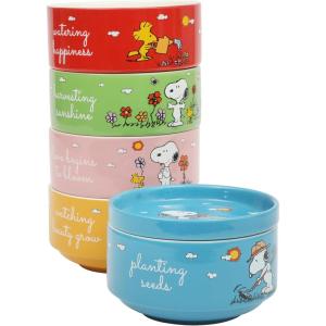 Peanuts Snoopy 5.5-Inch Decorated Stoneware Bowls, Stackable 4-Pack Bowl Set for Cereal, Snacks, or Dessert, Dishwasher & Microwave Safe(Stackable Design with Plate)