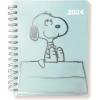 Snoopy House