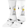 Snoopy & Woodstock