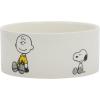Snoopy & Charlie Brown