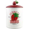 The Office Schrute Farms Large (Ceramic)