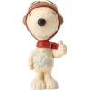Snoopy Flying Ace