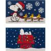 Snoopy Snowflakes/Dog House Lights