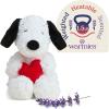 Red Heart Snoopy